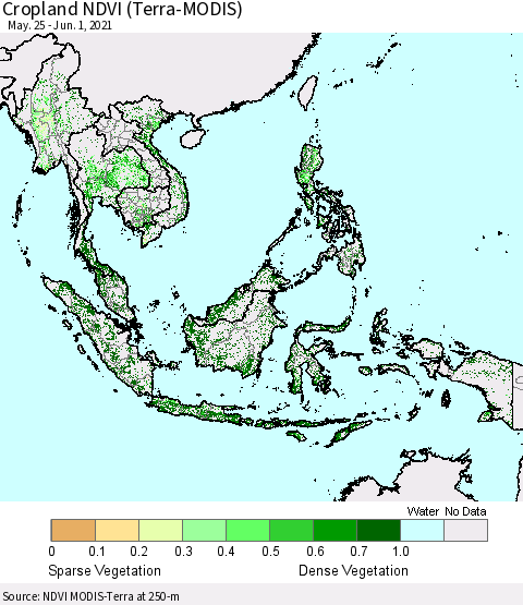 South East Asia Cropland NDVI (Terra-MODIS) Thematic Map For 5/25/2021 - 6/1/2021