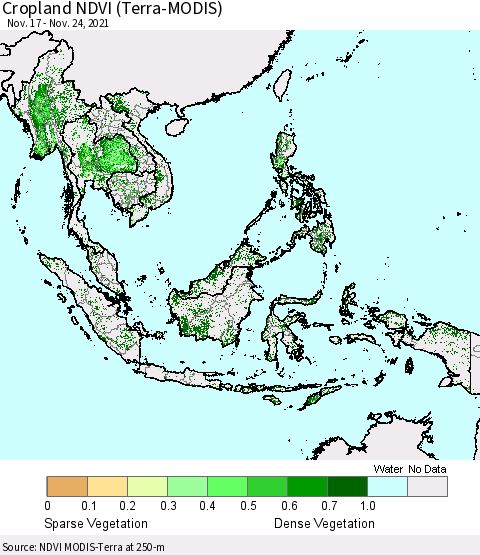 South East Asia Cropland NDVI (Terra-MODIS) Thematic Map For 11/17/2021 - 11/24/2021