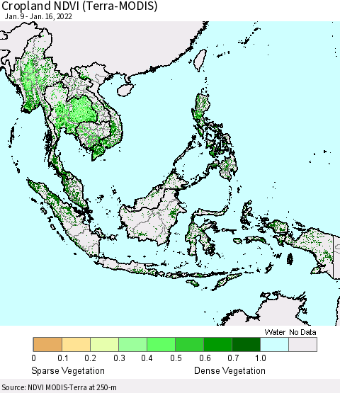 South East Asia Cropland NDVI (Terra-MODIS) Thematic Map For 1/9/2022 - 1/16/2022