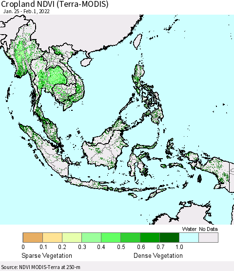 South East Asia Cropland NDVI (Terra-MODIS) Thematic Map For 1/25/2022 - 2/1/2022