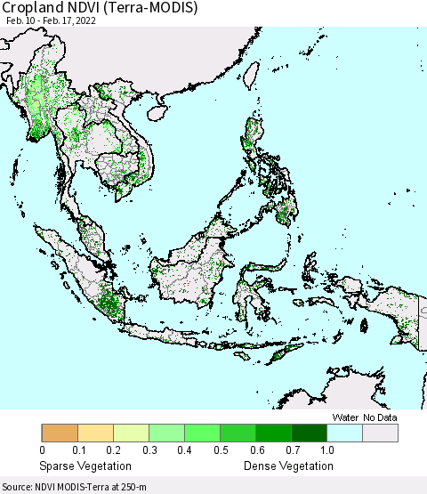 South East Asia Cropland NDVI (Terra-MODIS) Thematic Map For 2/10/2022 - 2/17/2022