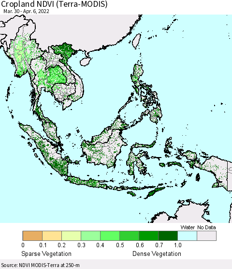 South East Asia Cropland NDVI (Terra-MODIS) Thematic Map For 3/30/2022 - 4/6/2022