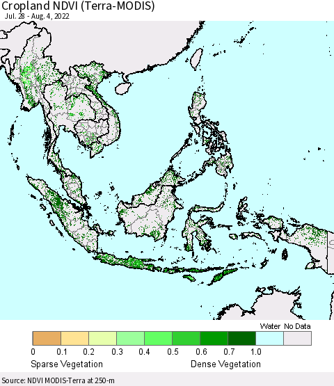 South East Asia Cropland NDVI (Terra-MODIS) Thematic Map For 7/28/2022 - 8/4/2022