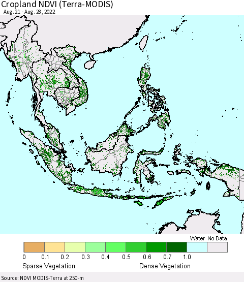 South East Asia Cropland NDVI (Terra-MODIS) Thematic Map For 8/21/2022 - 8/28/2022