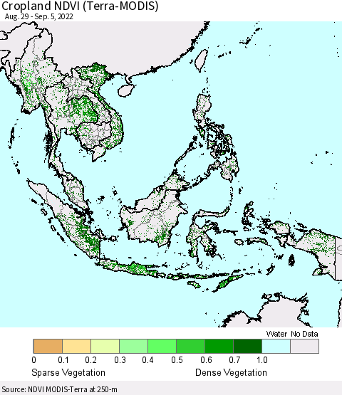 South East Asia Cropland NDVI (Terra-MODIS) Thematic Map For 8/29/2022 - 9/5/2022