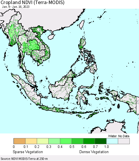 South East Asia Cropland NDVI (Terra-MODIS) Thematic Map For 1/9/2023 - 1/16/2023
