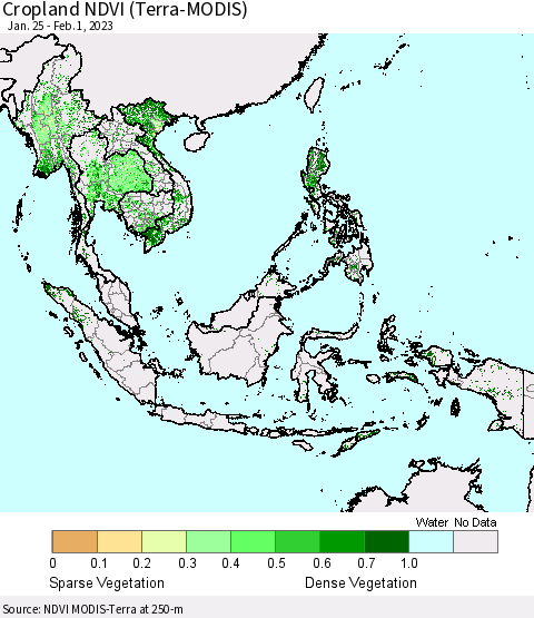 South East Asia Cropland NDVI (Terra-MODIS) Thematic Map For 1/25/2023 - 2/1/2023