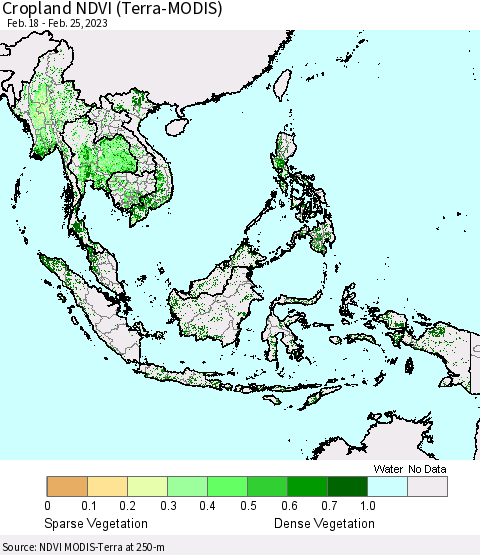 South East Asia Cropland NDVI (Terra-MODIS) Thematic Map For 2/18/2023 - 2/25/2023