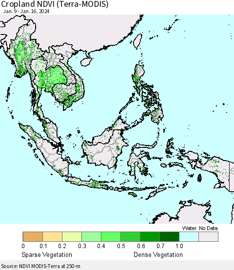 South East Asia Cropland NDVI (Terra-MODIS) Thematic Map For 1/9/2024 - 1/16/2024