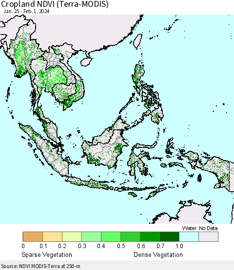 South East Asia Cropland NDVI (Terra-MODIS) Thematic Map For 1/25/2024 - 2/1/2024
