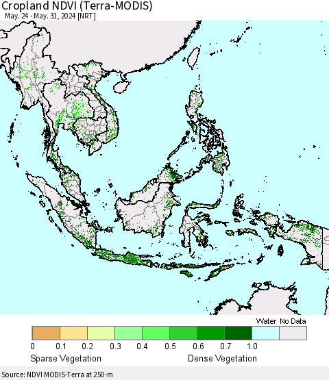 South East Asia Cropland NDVI (Terra-MODIS) Thematic Map For 5/24/2024 - 5/31/2024