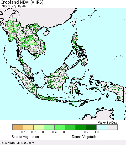 South East Asia Cropland NDVI (VIIRS) Thematic Map For 5/9/2021 - 5/16/2021