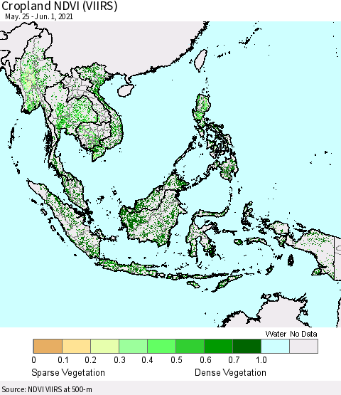 South East Asia Cropland NDVI (VIIRS) Thematic Map For 5/25/2021 - 6/1/2021