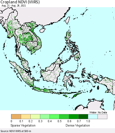 South East Asia Cropland NDVI (VIIRS) Thematic Map For 8/21/2021 - 8/28/2021