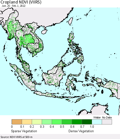 South East Asia Cropland NDVI (VIIRS) Thematic Map For 1/25/2022 - 2/1/2022