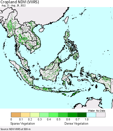 South East Asia Cropland NDVI (VIIRS) Thematic Map For 8/21/2022 - 8/28/2022