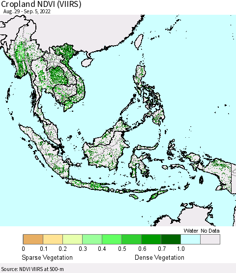 South East Asia Cropland NDVI (VIIRS) Thematic Map For 8/29/2022 - 9/5/2022