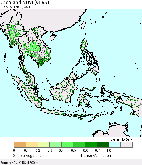 South East Asia Cropland NDVI (VIIRS) Thematic Map For 1/25/2024 - 2/1/2024