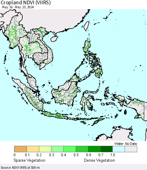 South East Asia Cropland NDVI (VIIRS) Thematic Map For 5/16/2024 - 5/23/2024