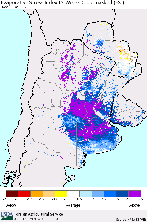 Southern South America Evaporative Stress Index (ESI), 12-Weeks over Croplands Thematic Map For 1/28/2019 - 2/3/2019