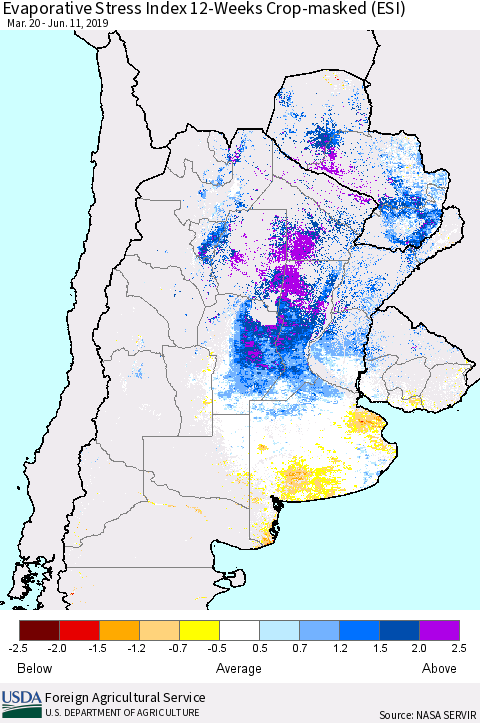 Southern South America Evaporative Stress Index (ESI), 12-Weeks over Croplands Thematic Map For 6/10/2019 - 6/16/2019