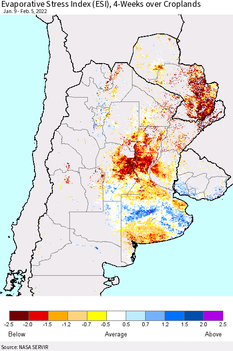 Southern South America Evaporative Stress Index (ESI), 4-Weeks over Croplands Thematic Map For 1/31/2022 - 2/6/2022