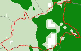 Caaguazú