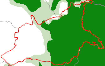 Caaguazú
