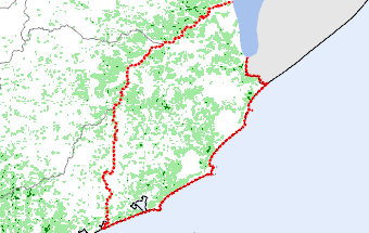 Rocha