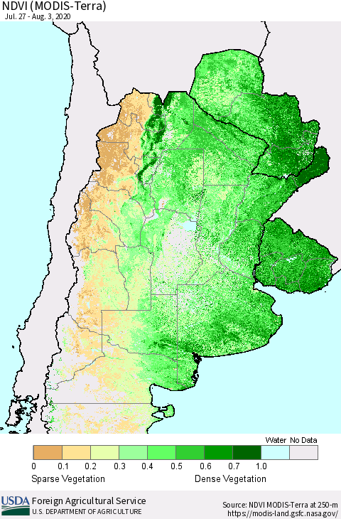 Southern South America NDVI (Terra-MODIS) Thematic Map For 8/1/2020 - 8/10/2020