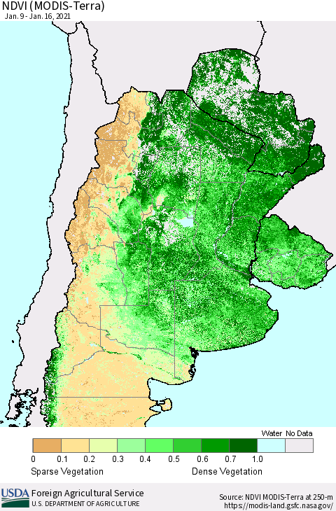 Southern South America NDVI (Terra-MODIS) Thematic Map For 1/11/2021 - 1/20/2021