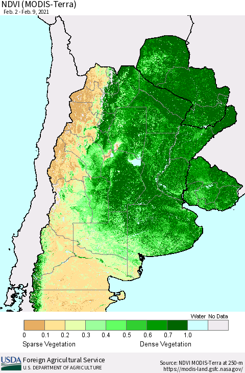 Southern South America NDVI (Terra-MODIS) Thematic Map For 2/1/2021 - 2/10/2021