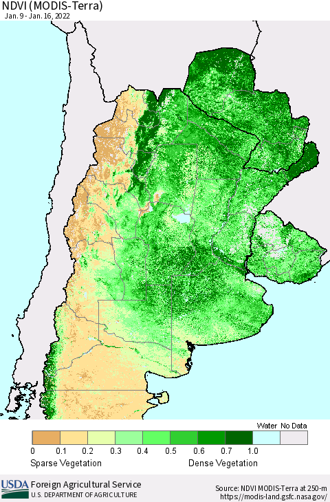 Southern South America NDVI (Terra-MODIS) Thematic Map For 1/11/2022 - 1/20/2022
