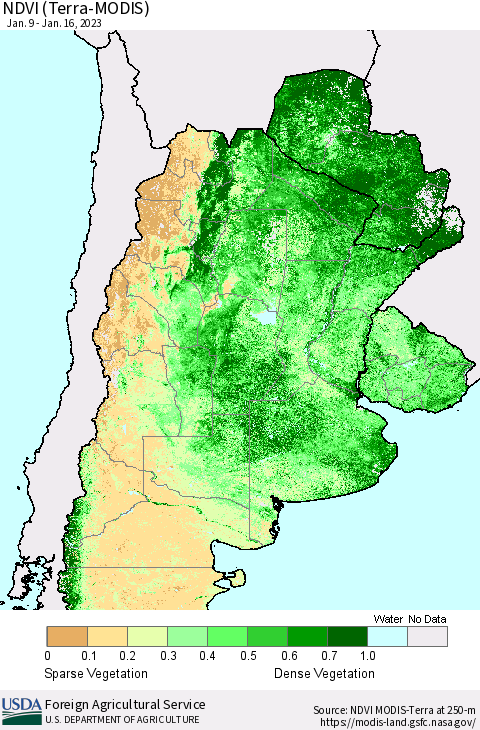 Southern South America NDVI (Terra-MODIS) Thematic Map For 1/11/2023 - 1/20/2023