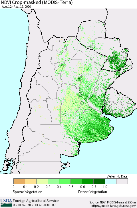 Southern South America Cropland NDVI (Terra-MODIS) Thematic Map For 8/11/2020 - 8/20/2020