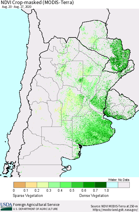 Southern South America Cropland NDVI (Terra-MODIS) Thematic Map For 8/21/2020 - 8/31/2020