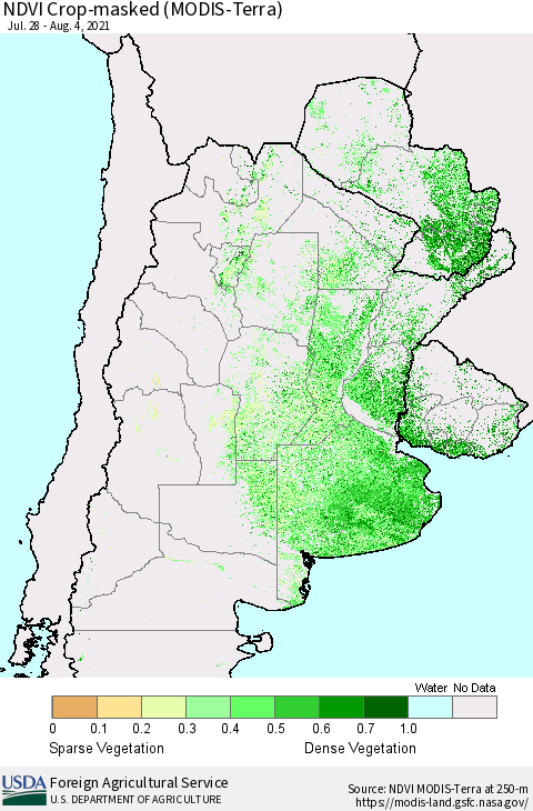 Southern South America Cropland NDVI (Terra-MODIS) Thematic Map For 8/1/2021 - 8/10/2021