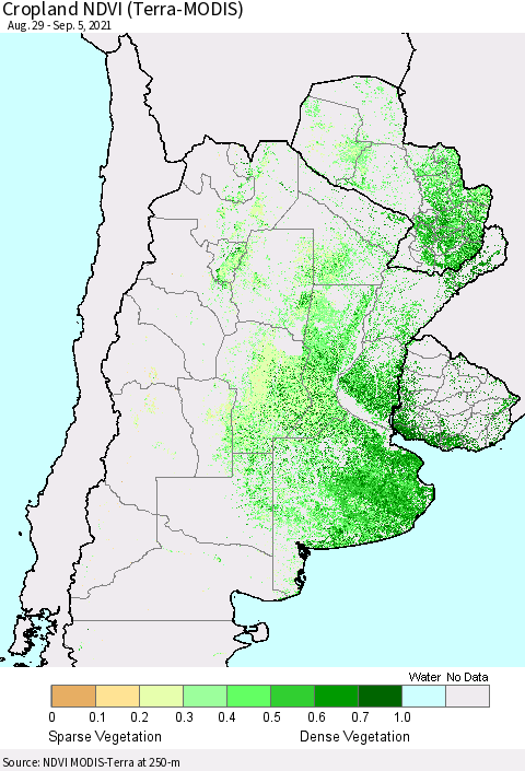 Southern South America Cropland NDVI (Terra-MODIS) Thematic Map For 8/29/2021 - 9/5/2021