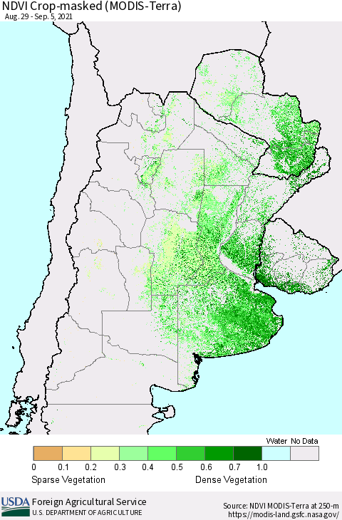 Southern South America Cropland NDVI (Terra-MODIS) Thematic Map For 9/1/2021 - 9/10/2021