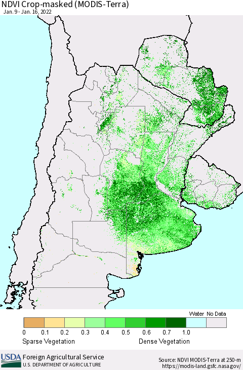 Southern South America Cropland NDVI (Terra-MODIS) Thematic Map For 1/11/2022 - 1/20/2022