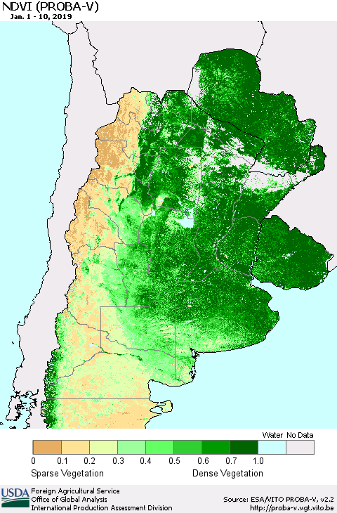 Southern South America NDVI (PROBA-V) Thematic Map For 1/1/2019 - 1/10/2019