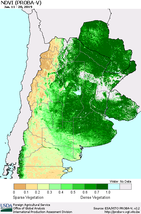 Southern South America NDVI (PROBA-V) Thematic Map For 1/11/2019 - 1/20/2019