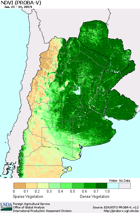 Southern South America NDVI (PROBA-V) Thematic Map For 1/21/2019 - 1/31/2019