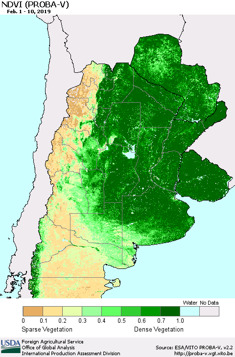 Southern South America NDVI (PROBA-V) Thematic Map For 2/1/2019 - 2/10/2019
