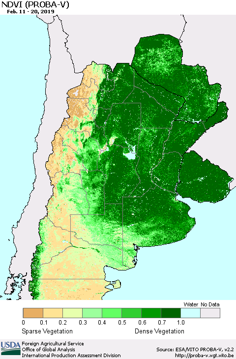 Southern South America NDVI (PROBA-V) Thematic Map For 2/11/2019 - 2/20/2019