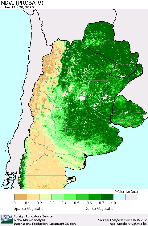 Southern South America NDVI (PROBA-V) Thematic Map For 1/11/2020 - 1/20/2020