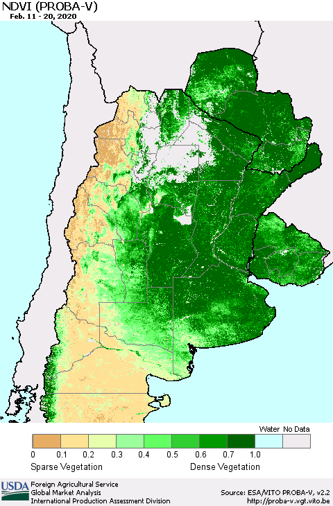 Southern South America NDVI (PROBA-V) Thematic Map For 2/11/2020 - 2/20/2020