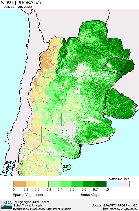 Southern South America NDVI (PROBA-V) Thematic Map For 6/11/2020 - 6/20/2020