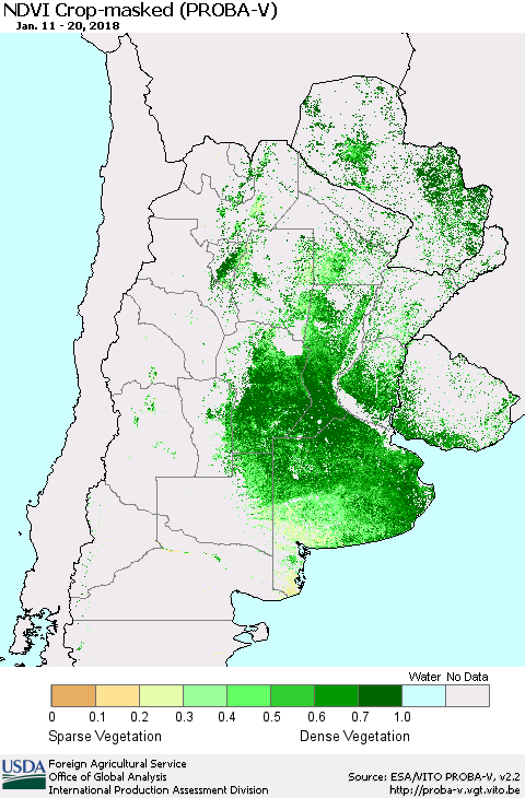 Southern South America NDVI Crop-masked (PROBA-V) Thematic Map For 1/11/2018 - 1/20/2018