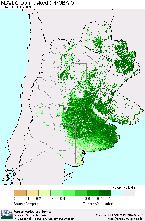 Southern South America NDVI Crop-masked (PROBA-V) Thematic Map For 1/1/2019 - 1/10/2019